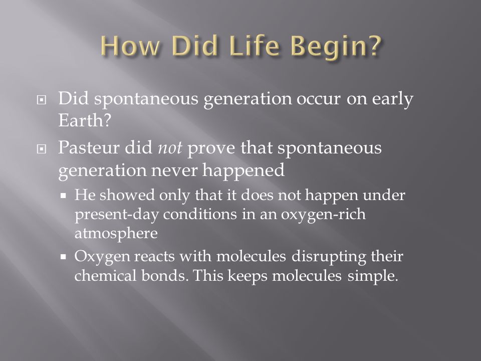 How did life on earth begin essay